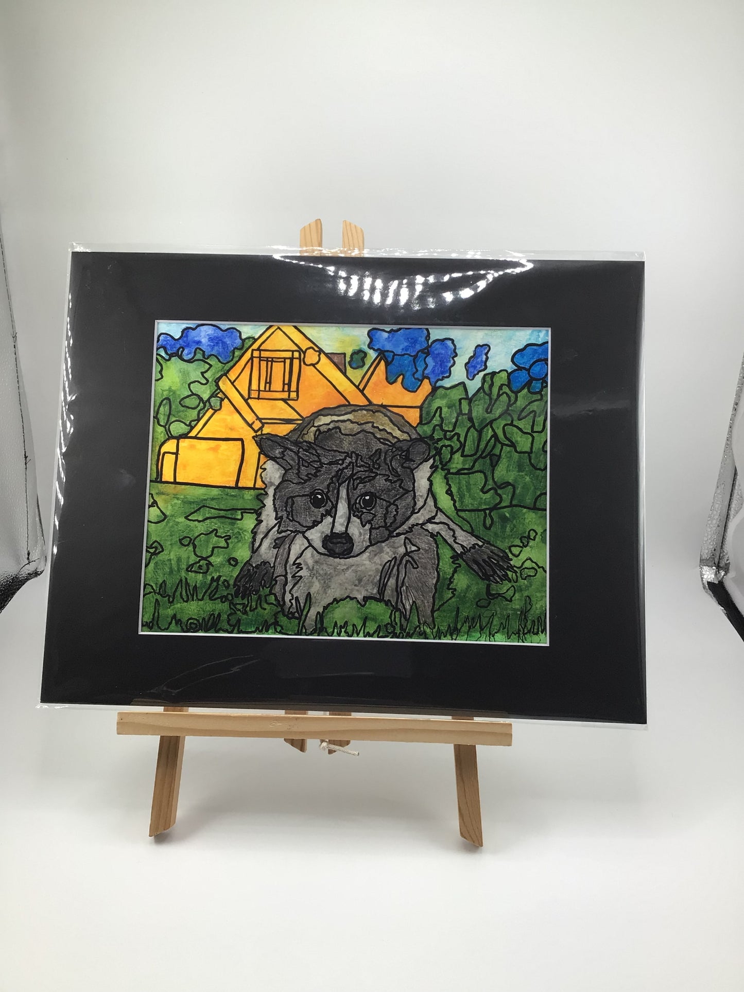 Raccoon Landscape