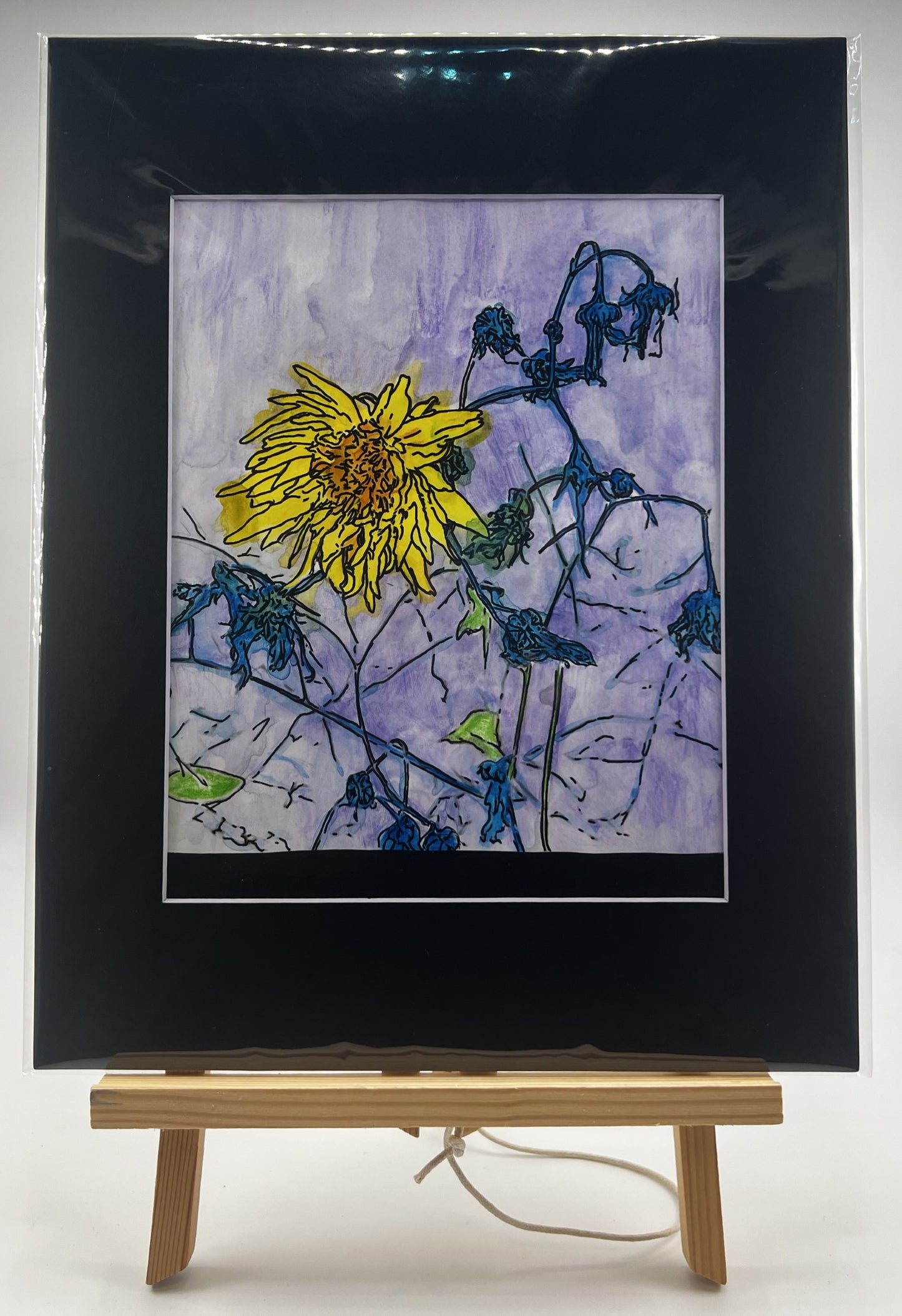 Dandy Yellow Amoungst Purple