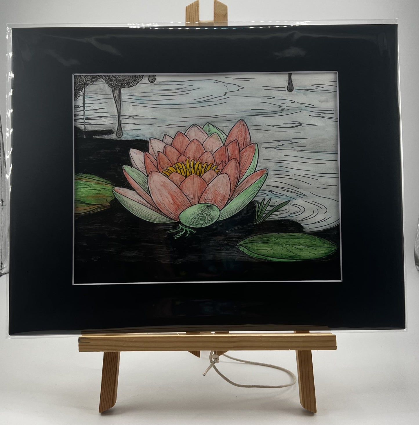 Water Lily