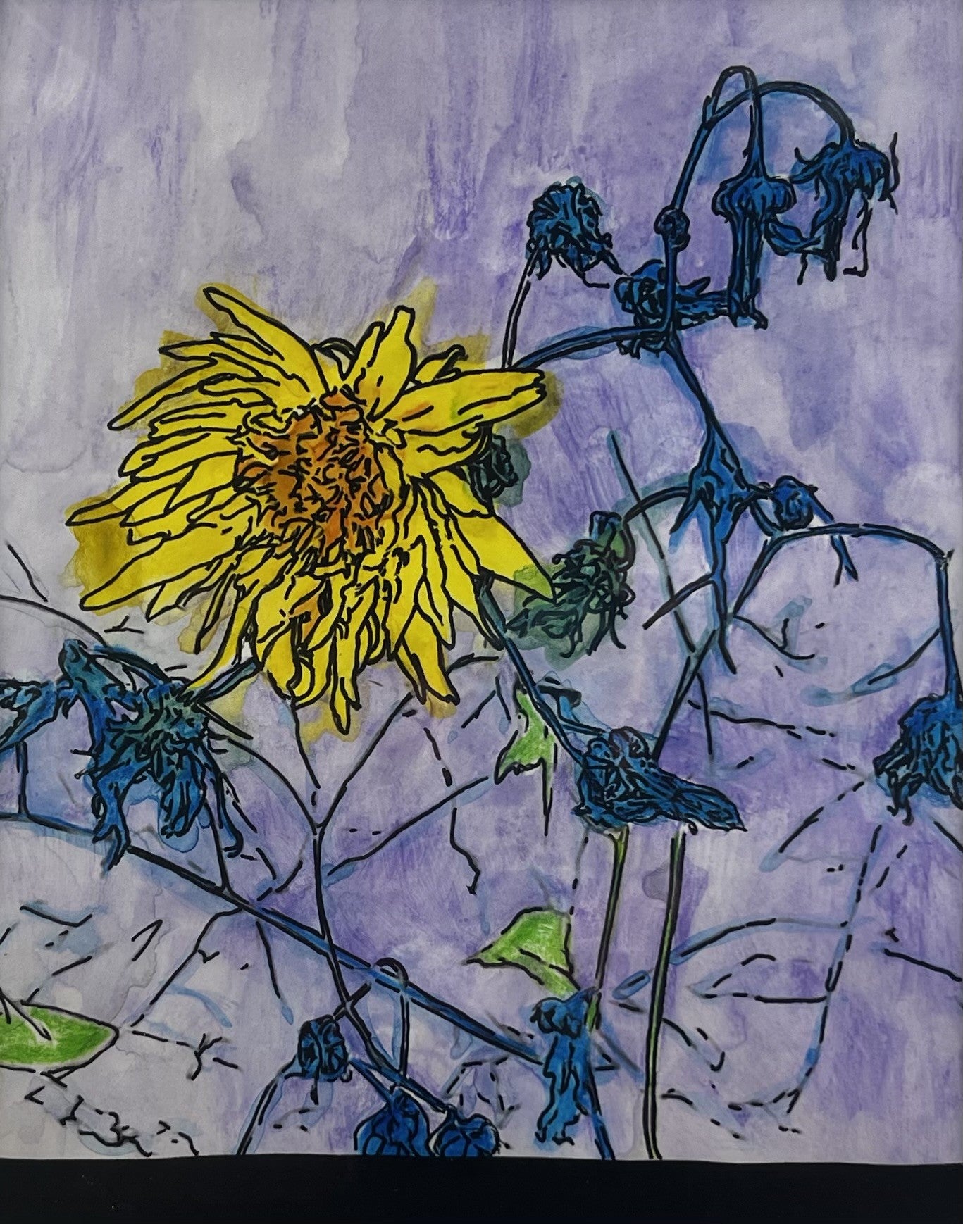 Dandy Yellow Amoungst Purple