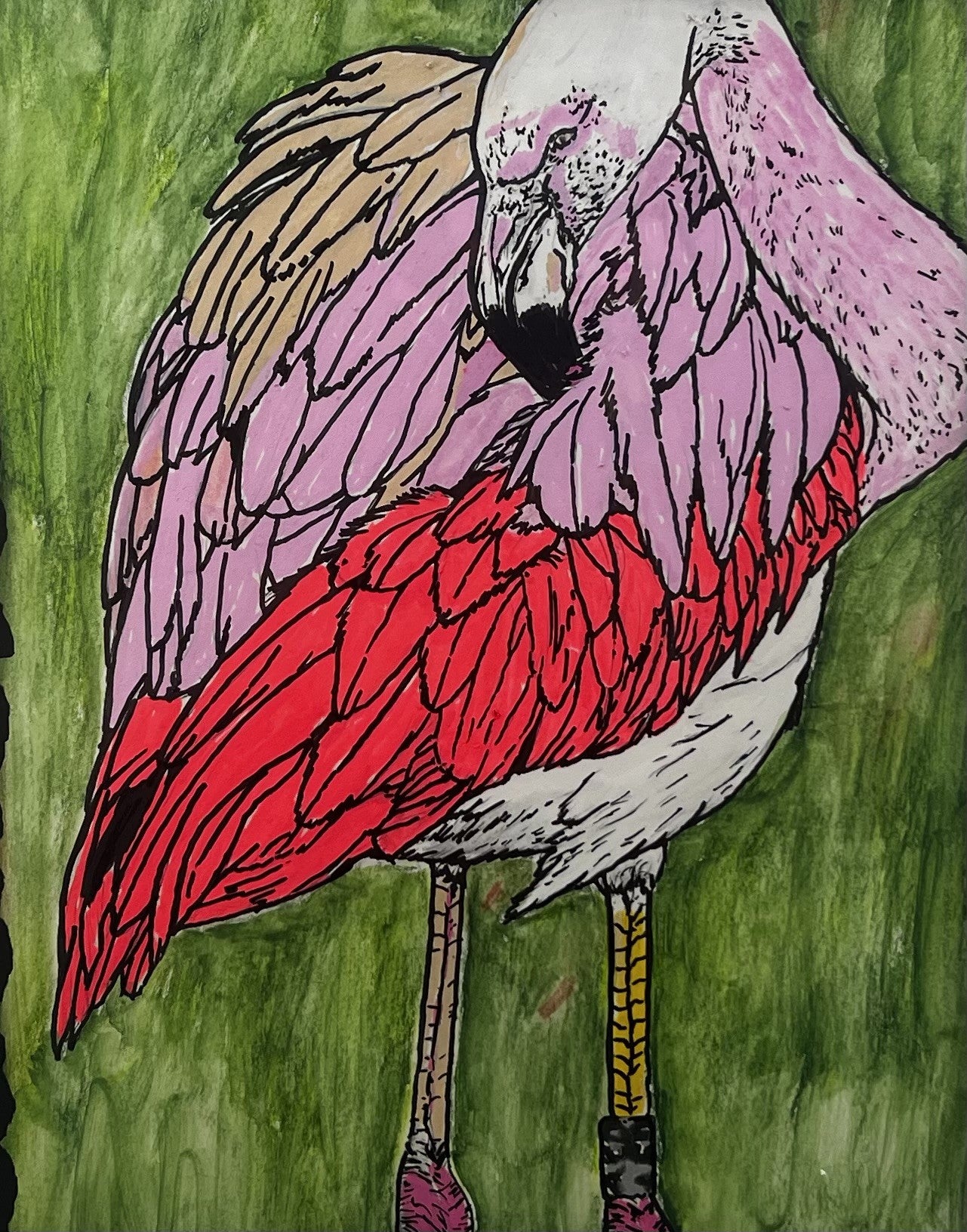 Flamingo Fun