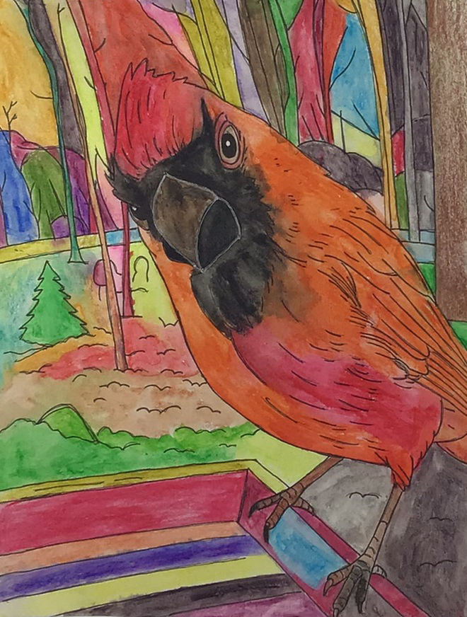 Cardinal