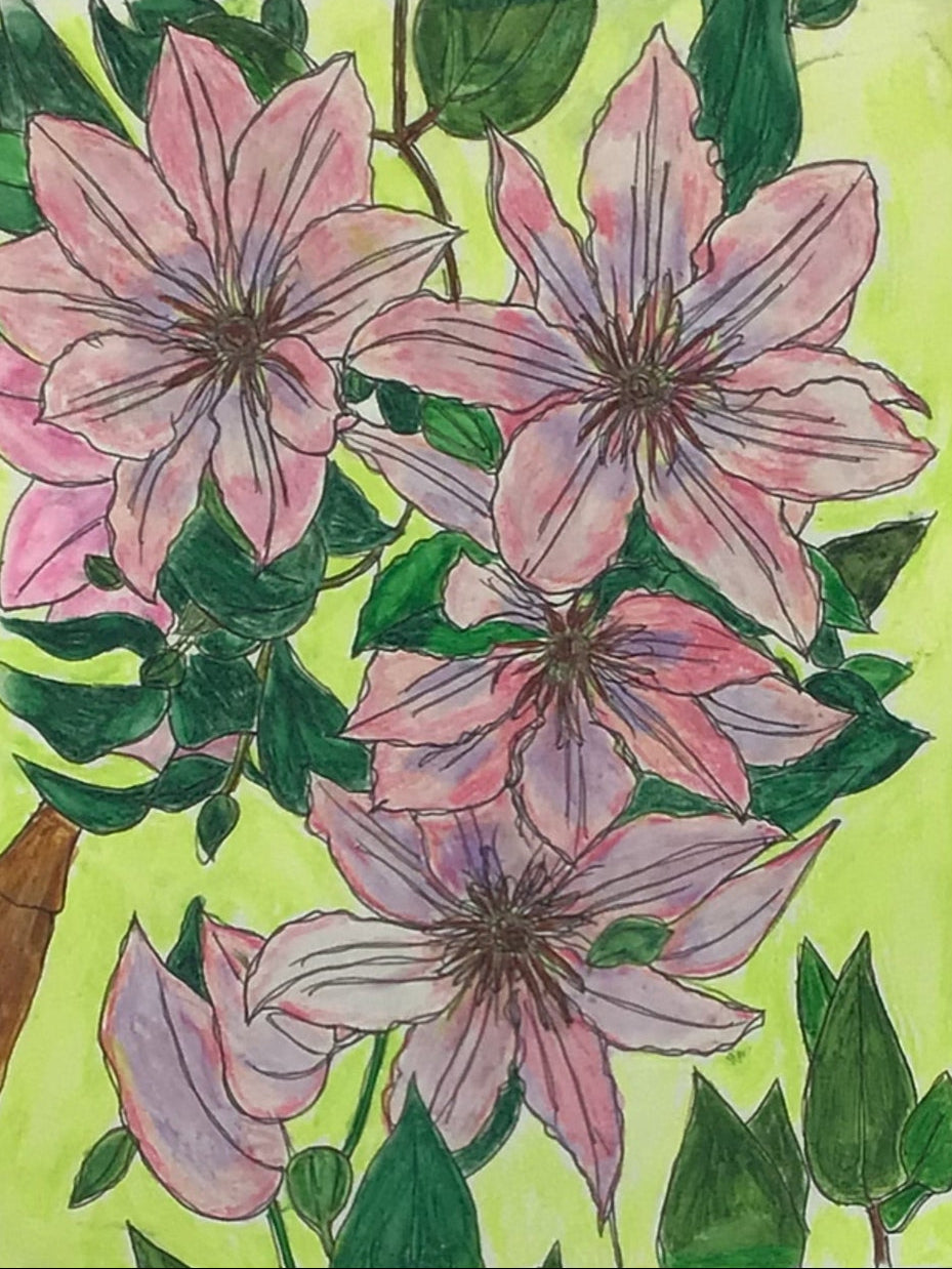 Flowers 'O Plenty