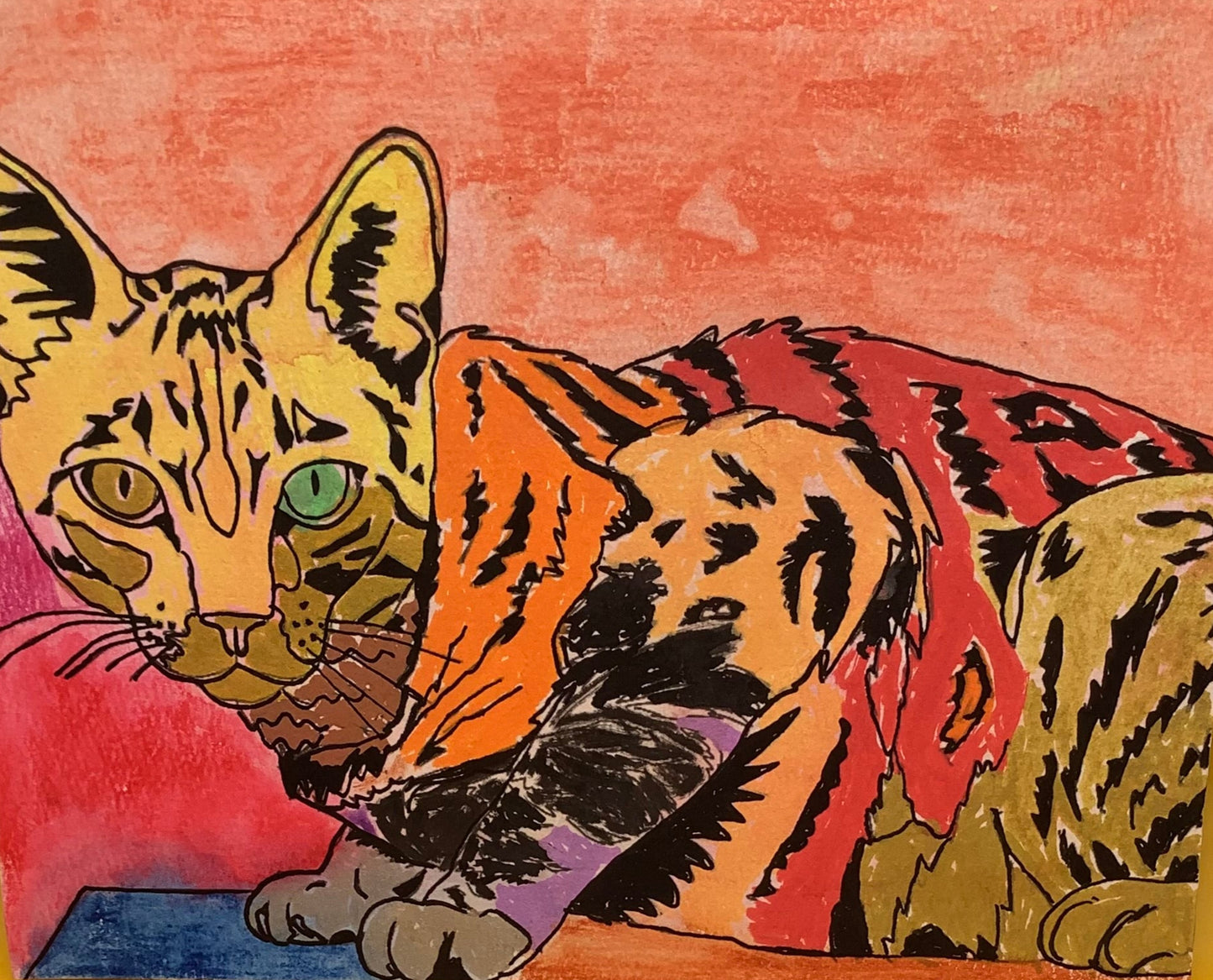 Beautiful Cat