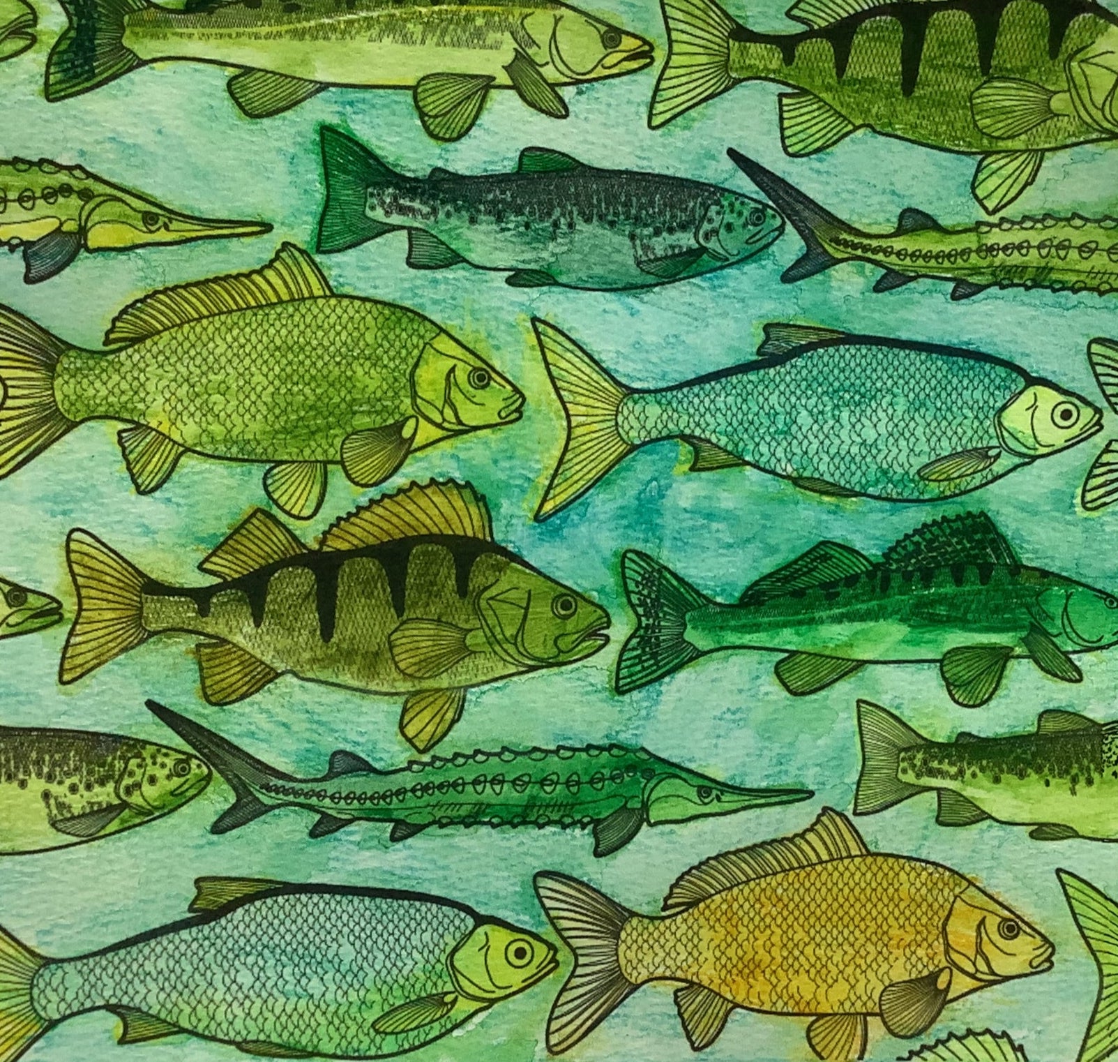 Fabric with fish pattern on a white background