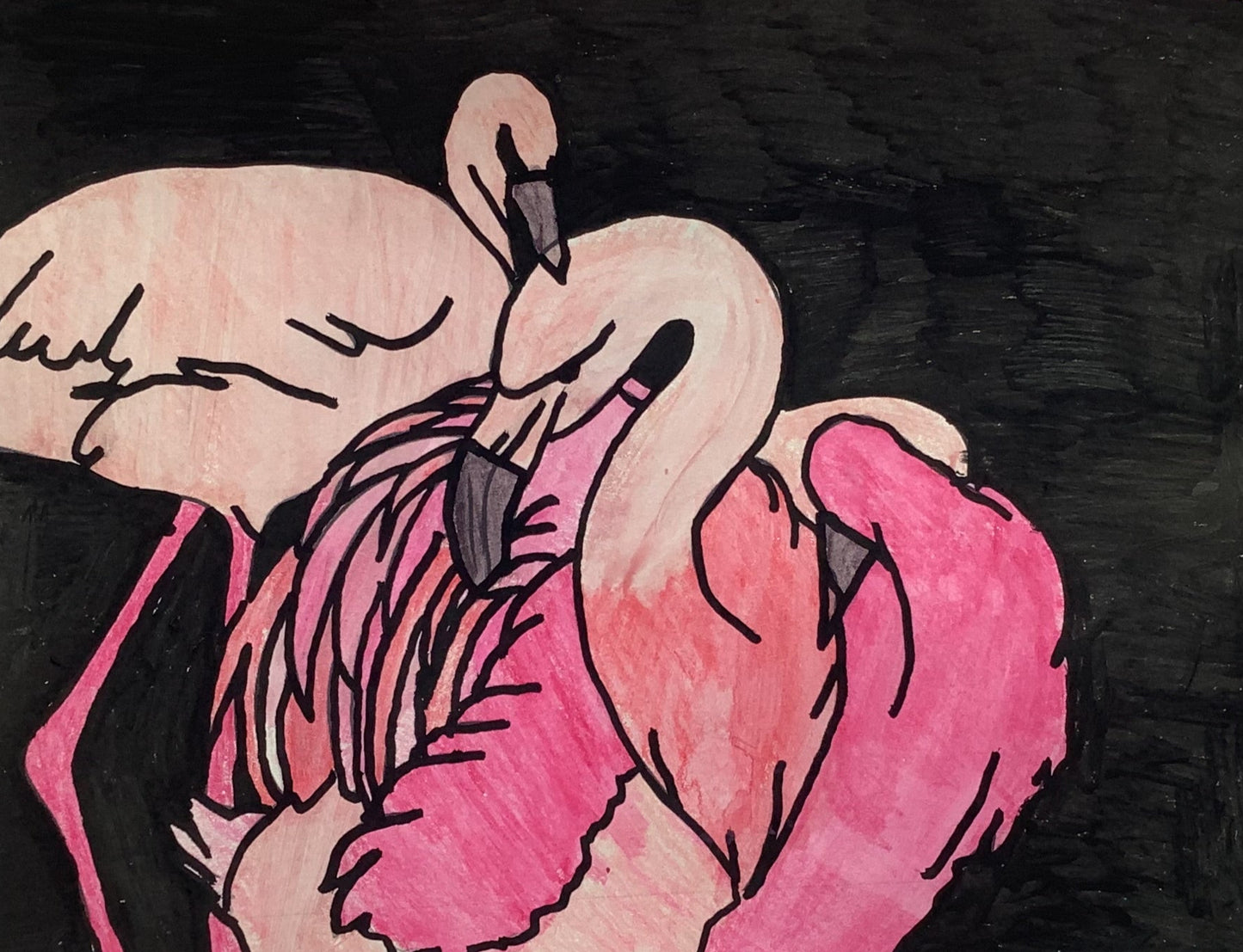 Flamingos In The Dark