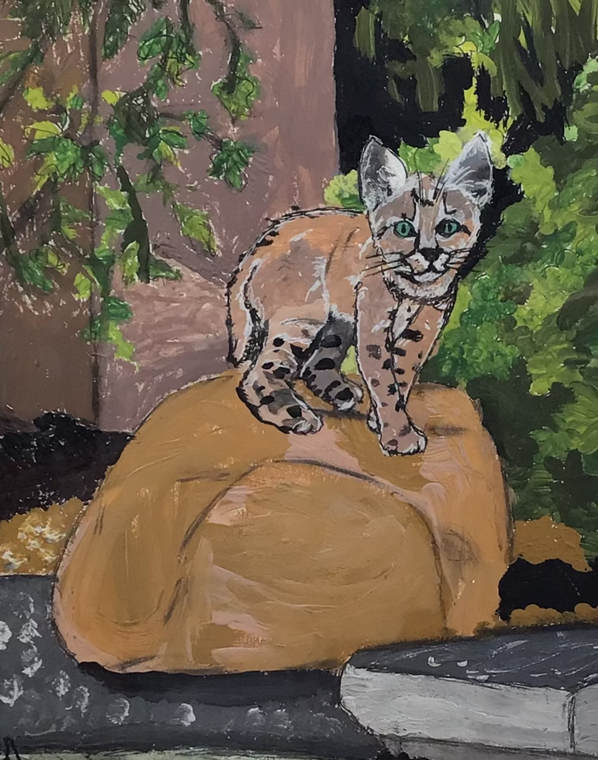 Wild Cat