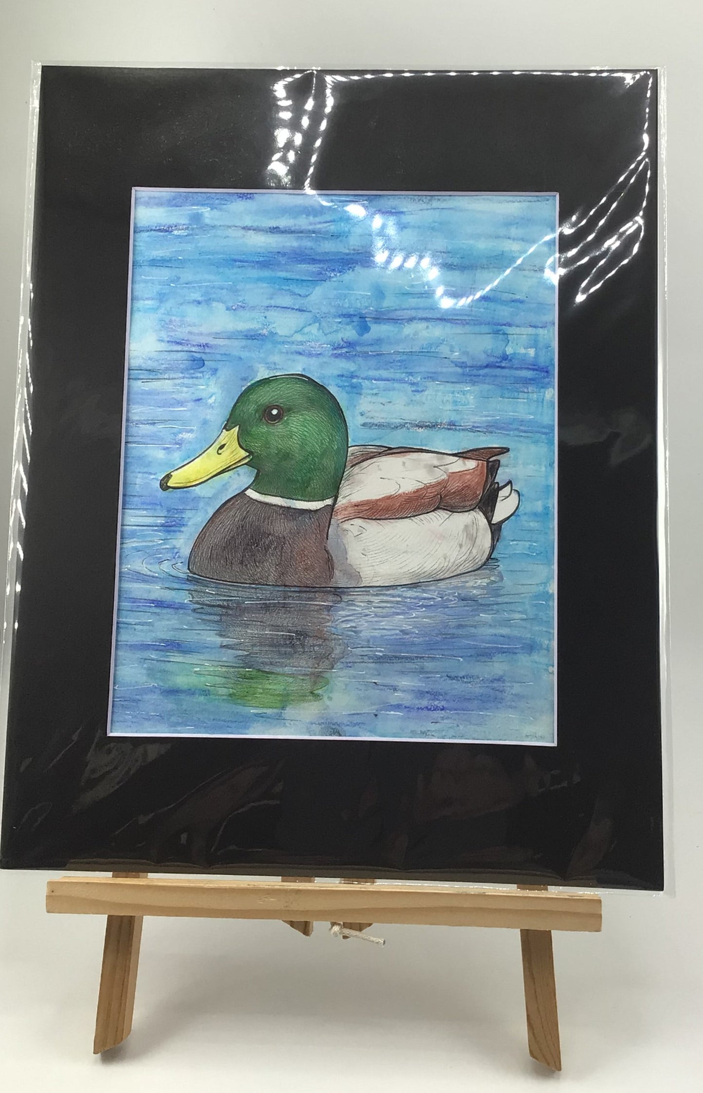 Little Quacker