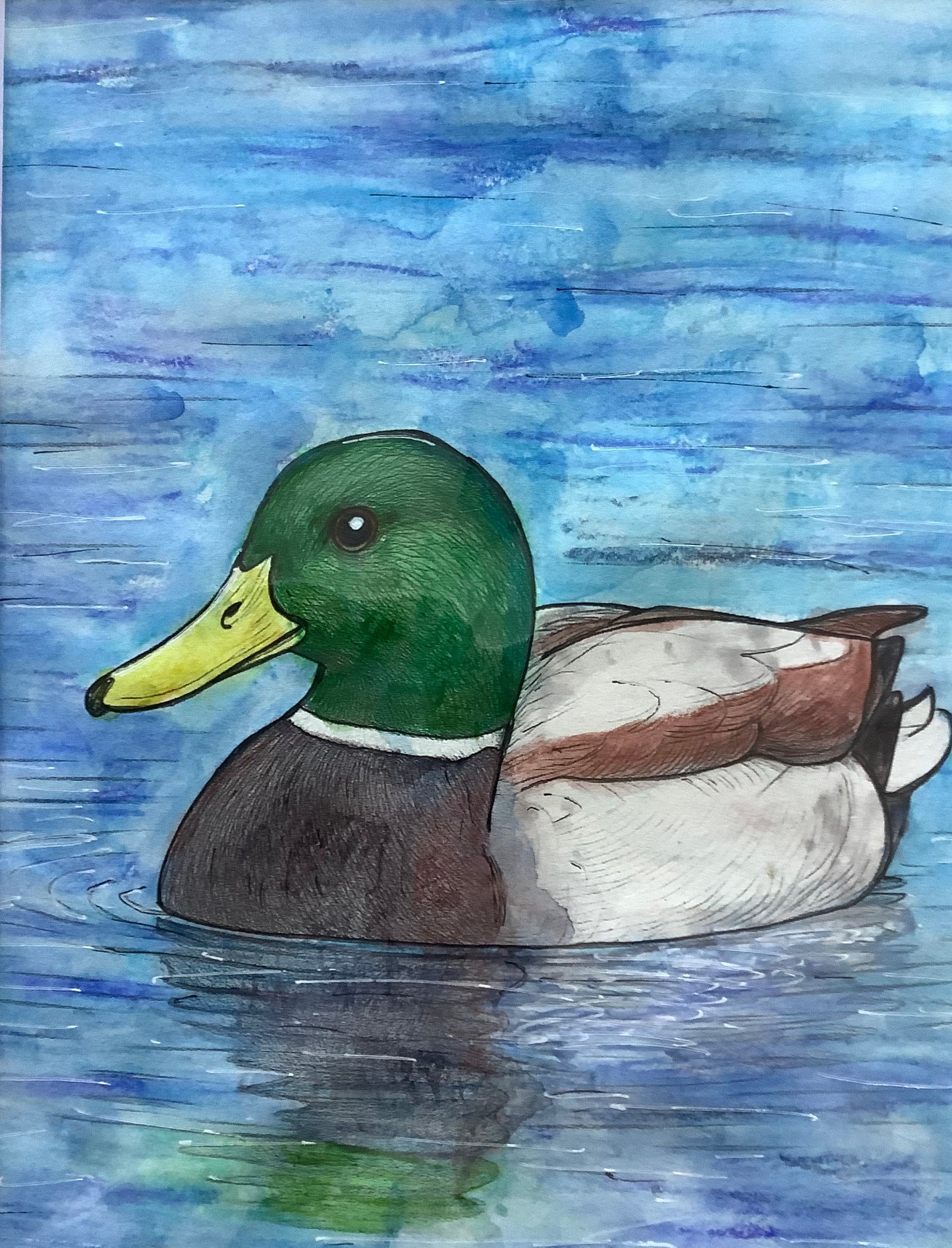 Little Quacker