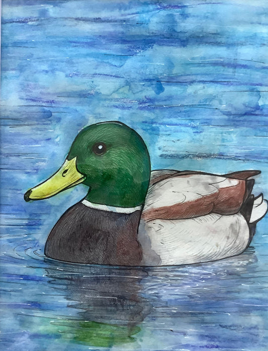 Little Quacker
