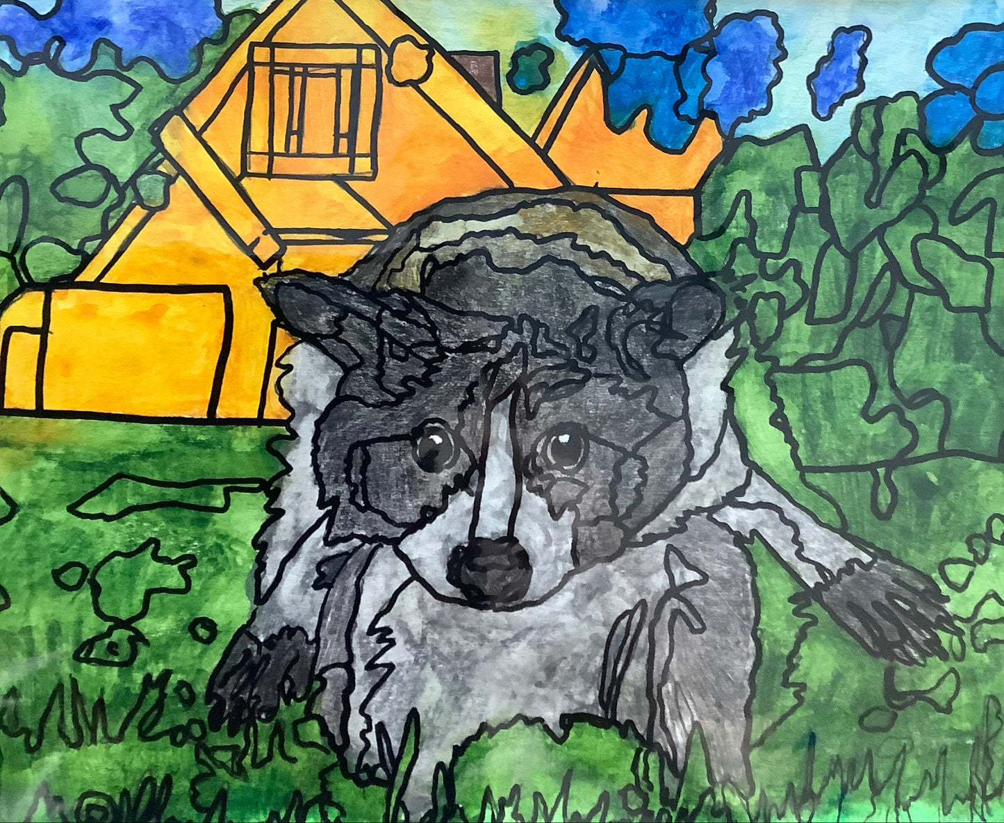 Raccoon Landscape
