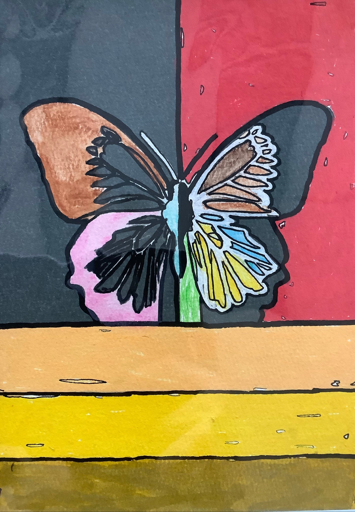 Multicolor Butterfly