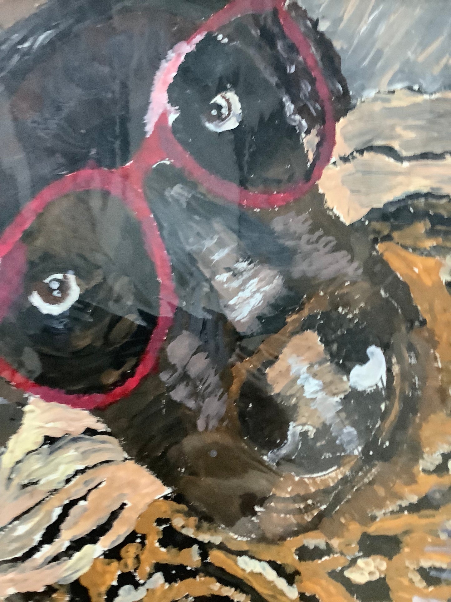 Seeing Eye Dog