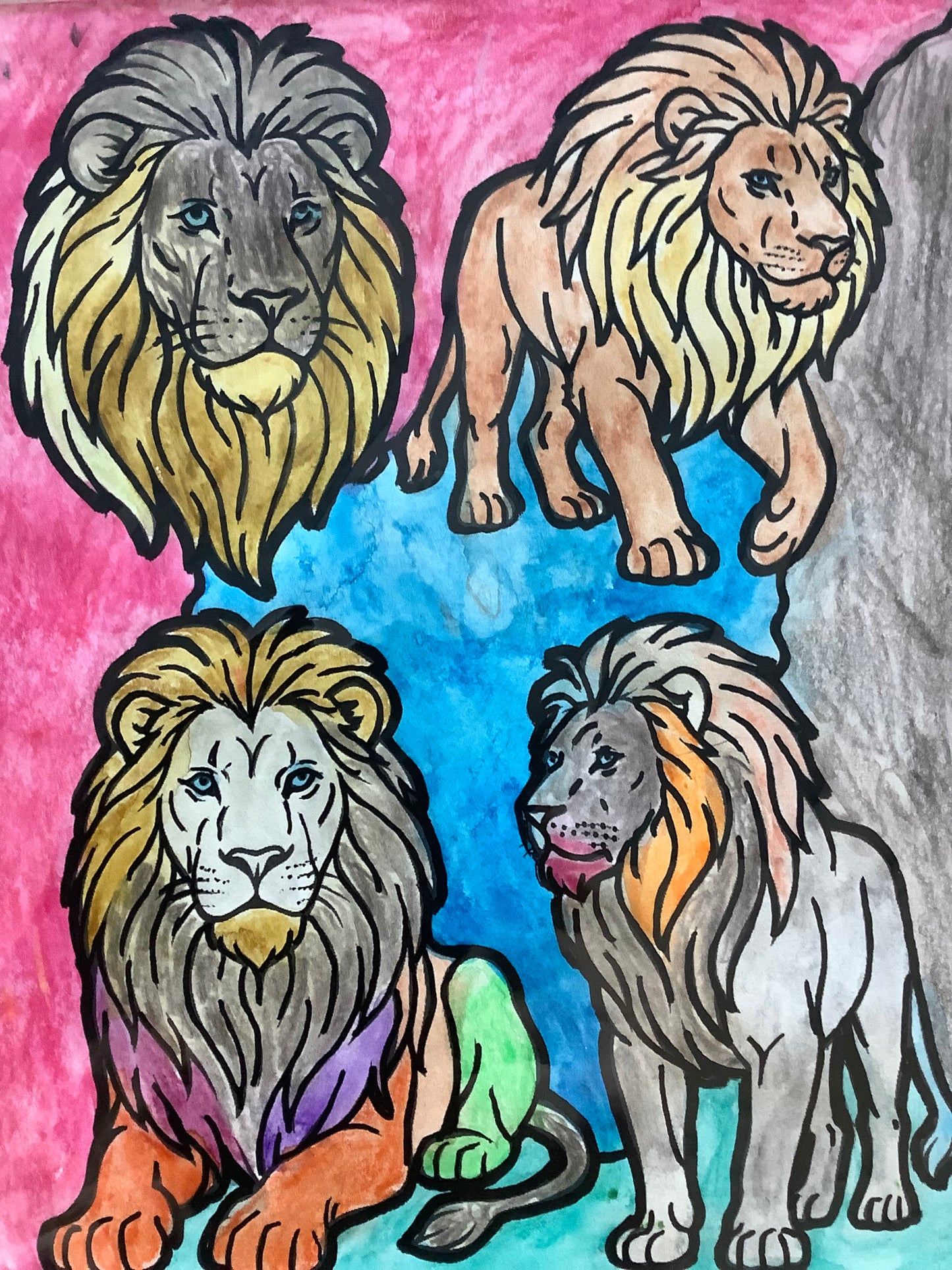 Rainbow Lions