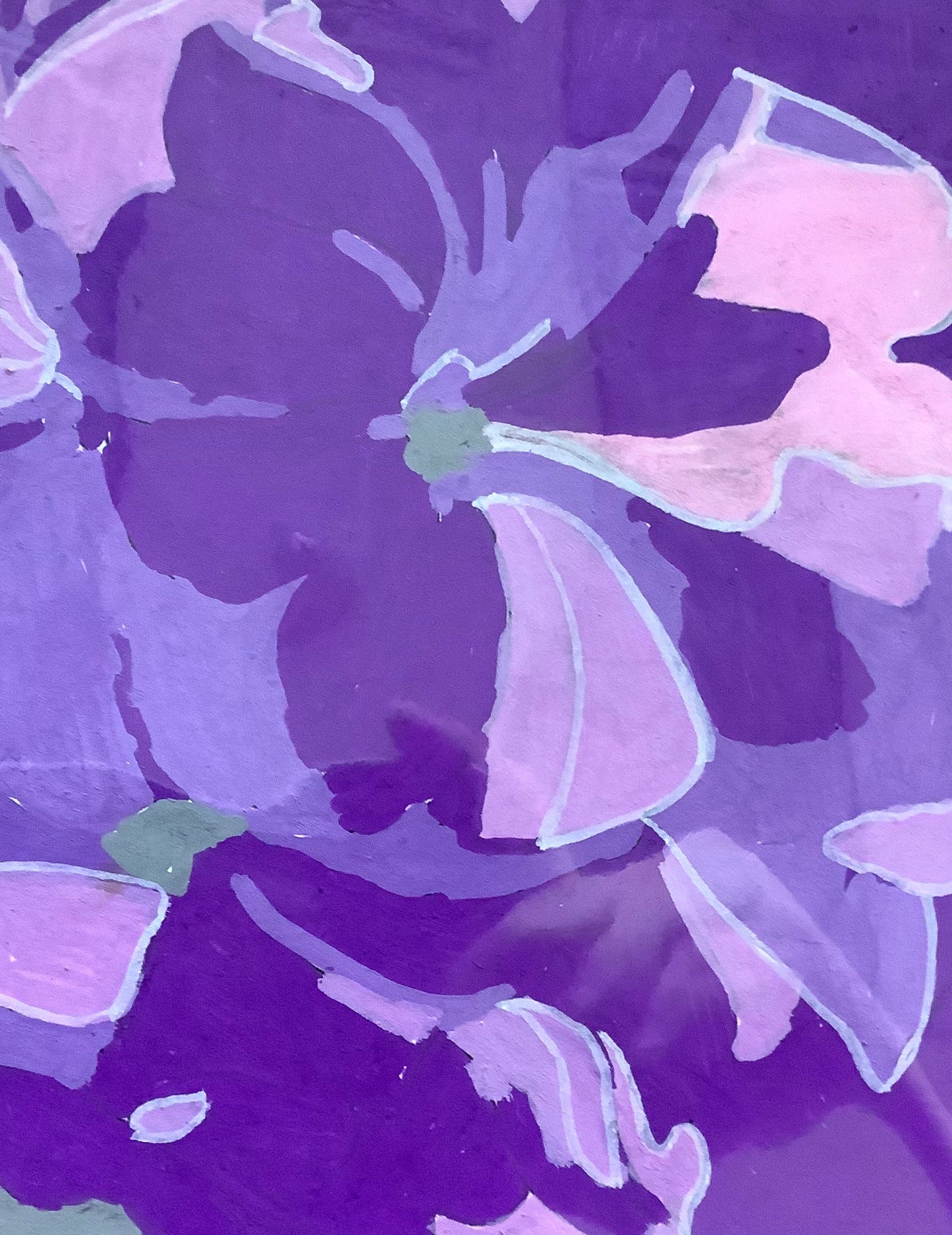 Purple and Pink Flowers