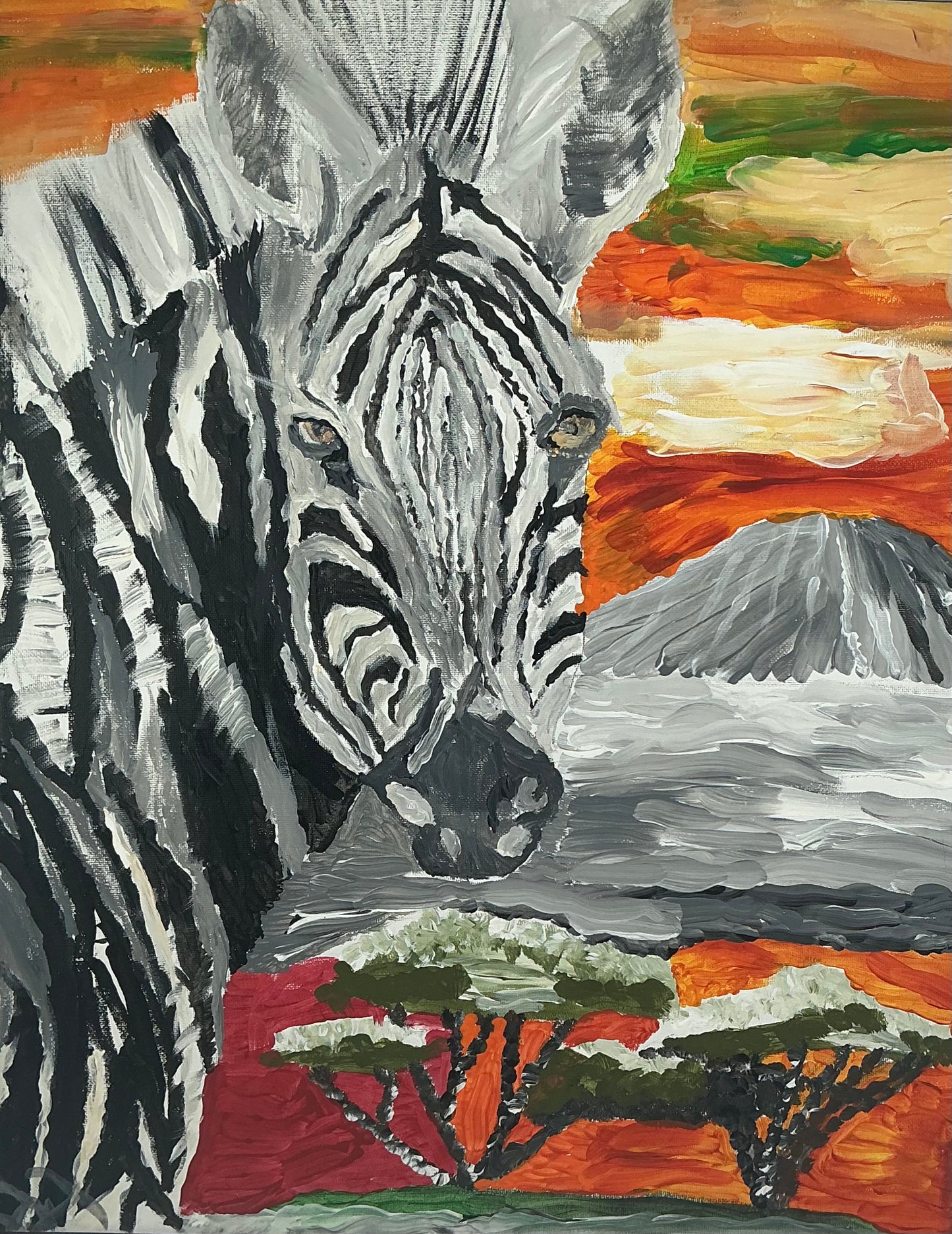 African Zebra