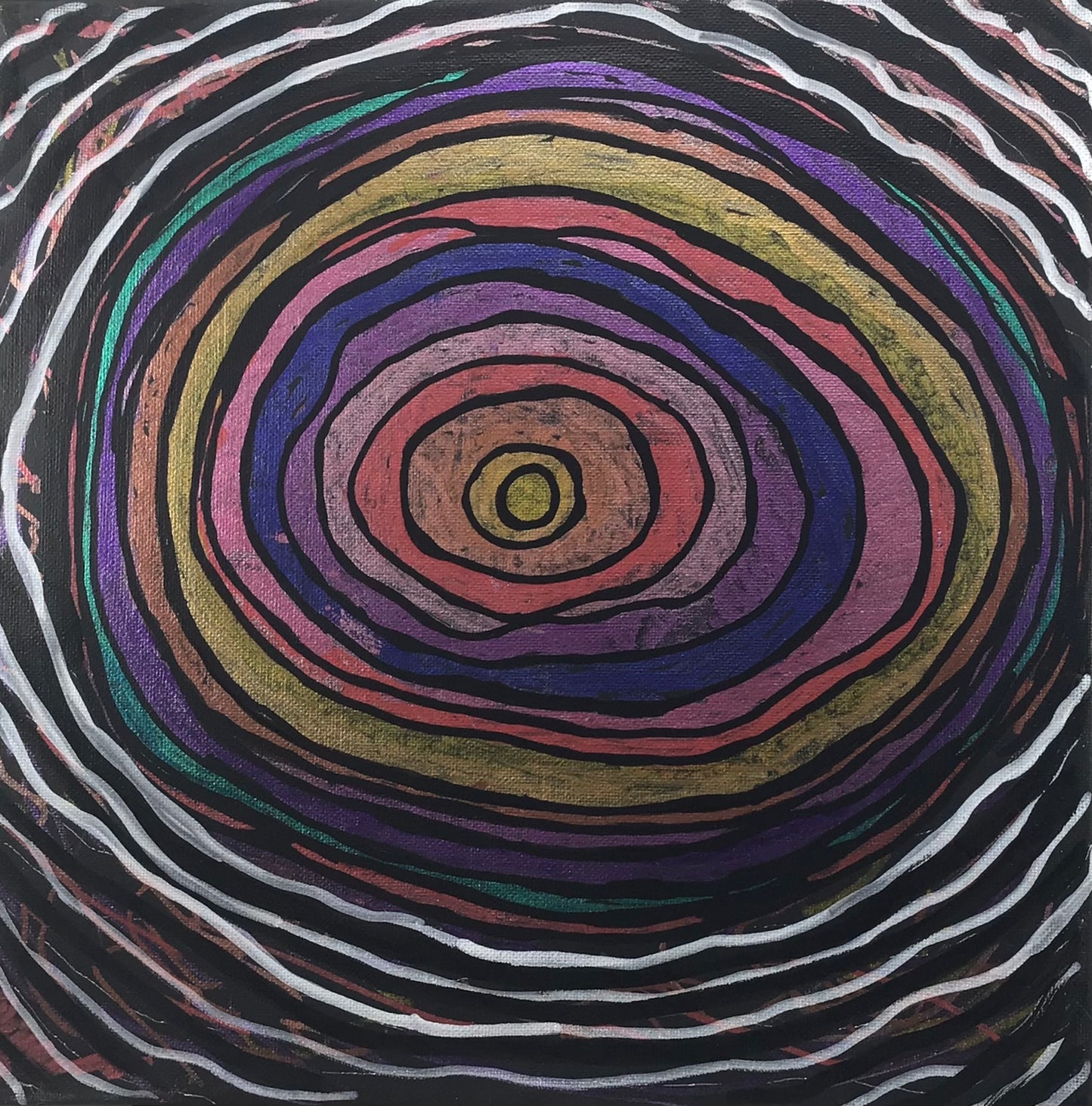 Chameleon Eye