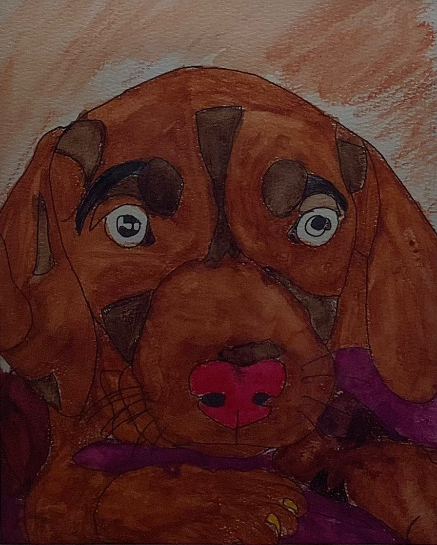 Puppy