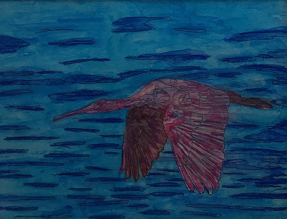 Pink Bird