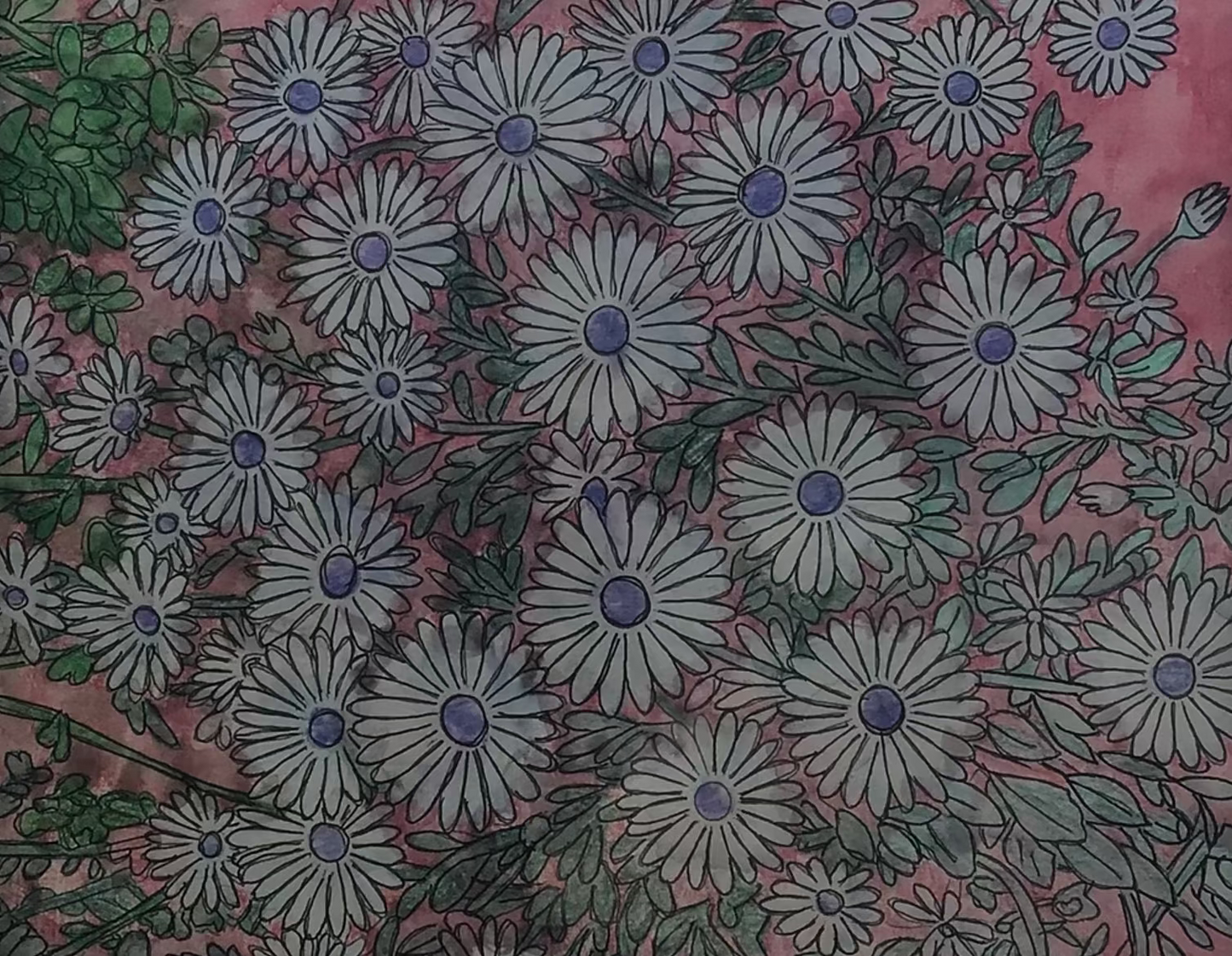 Australian Flowers