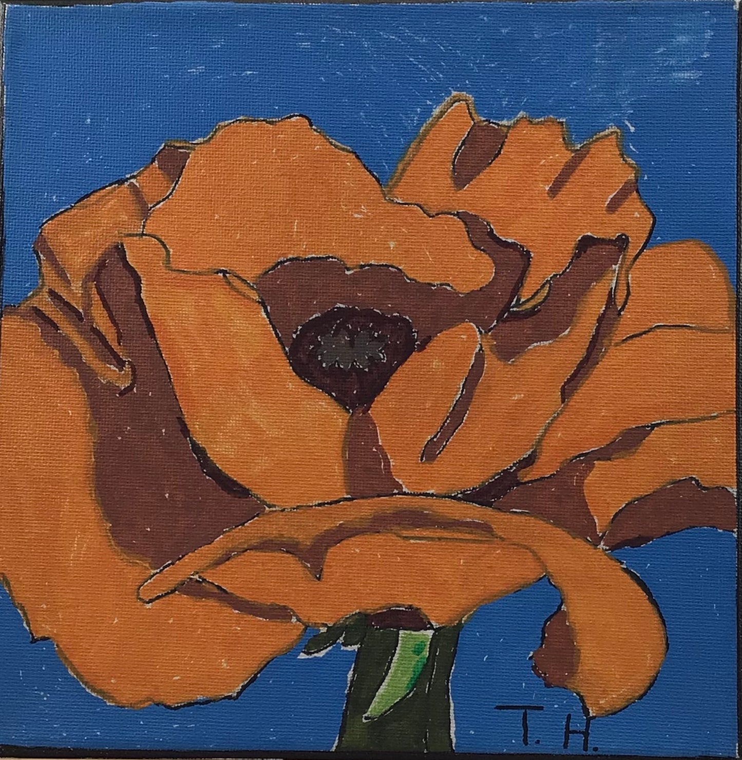 Orange Flower