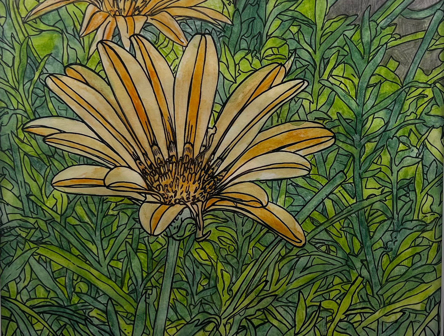 Color... Pop... Bloom
