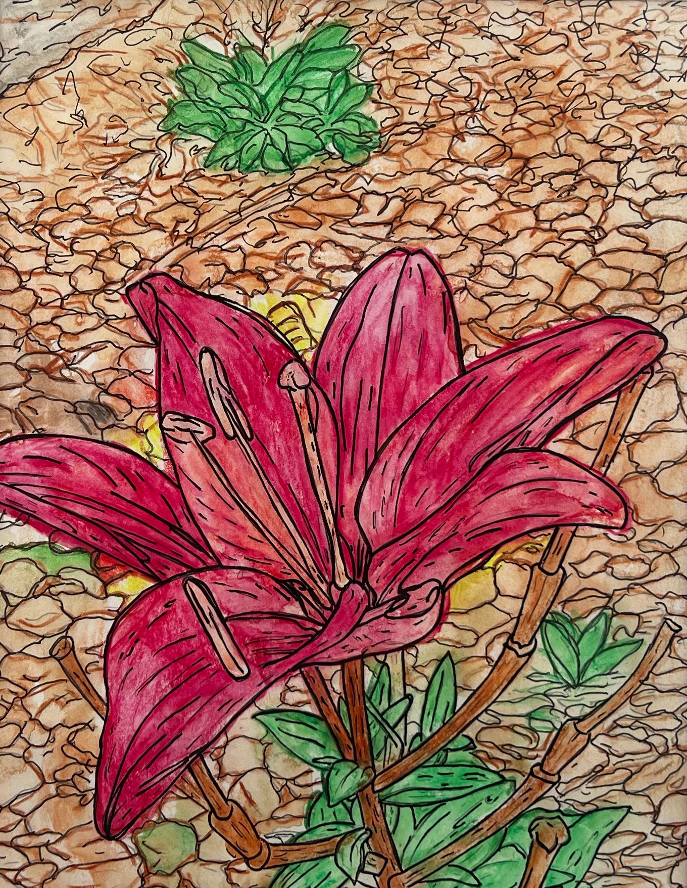 Red Lilly Stands