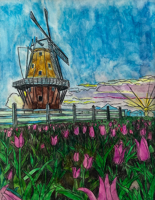 Tulip Paradise
