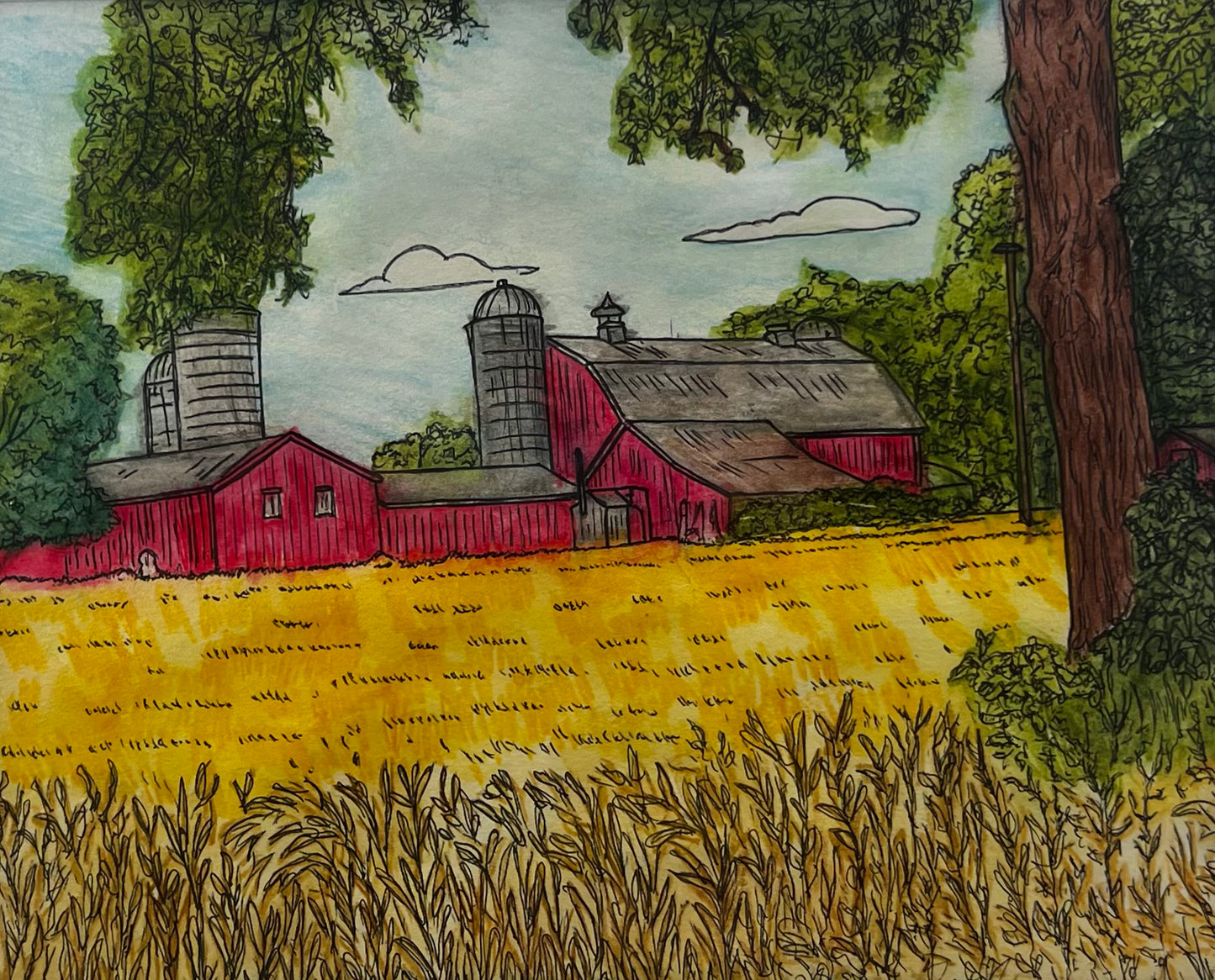 Beauty Barn