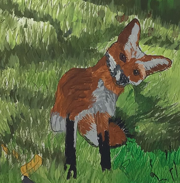 Foxy