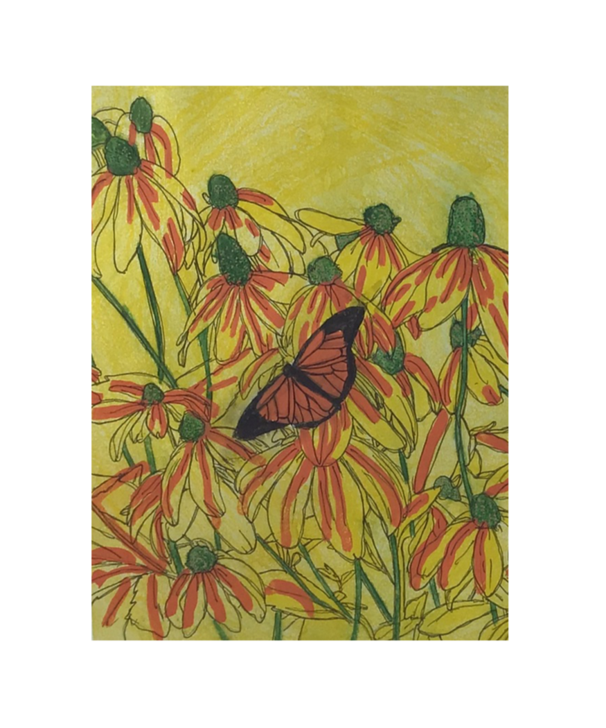 Echoes of Flowers