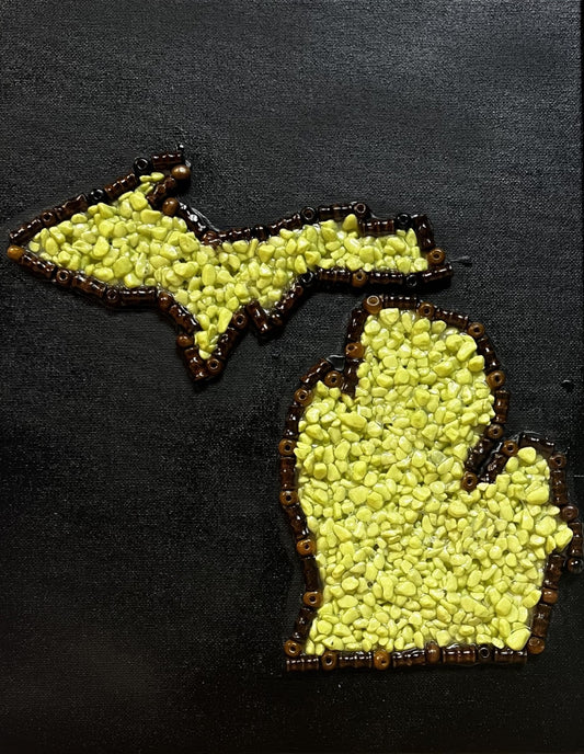 State of Michigan with Texture