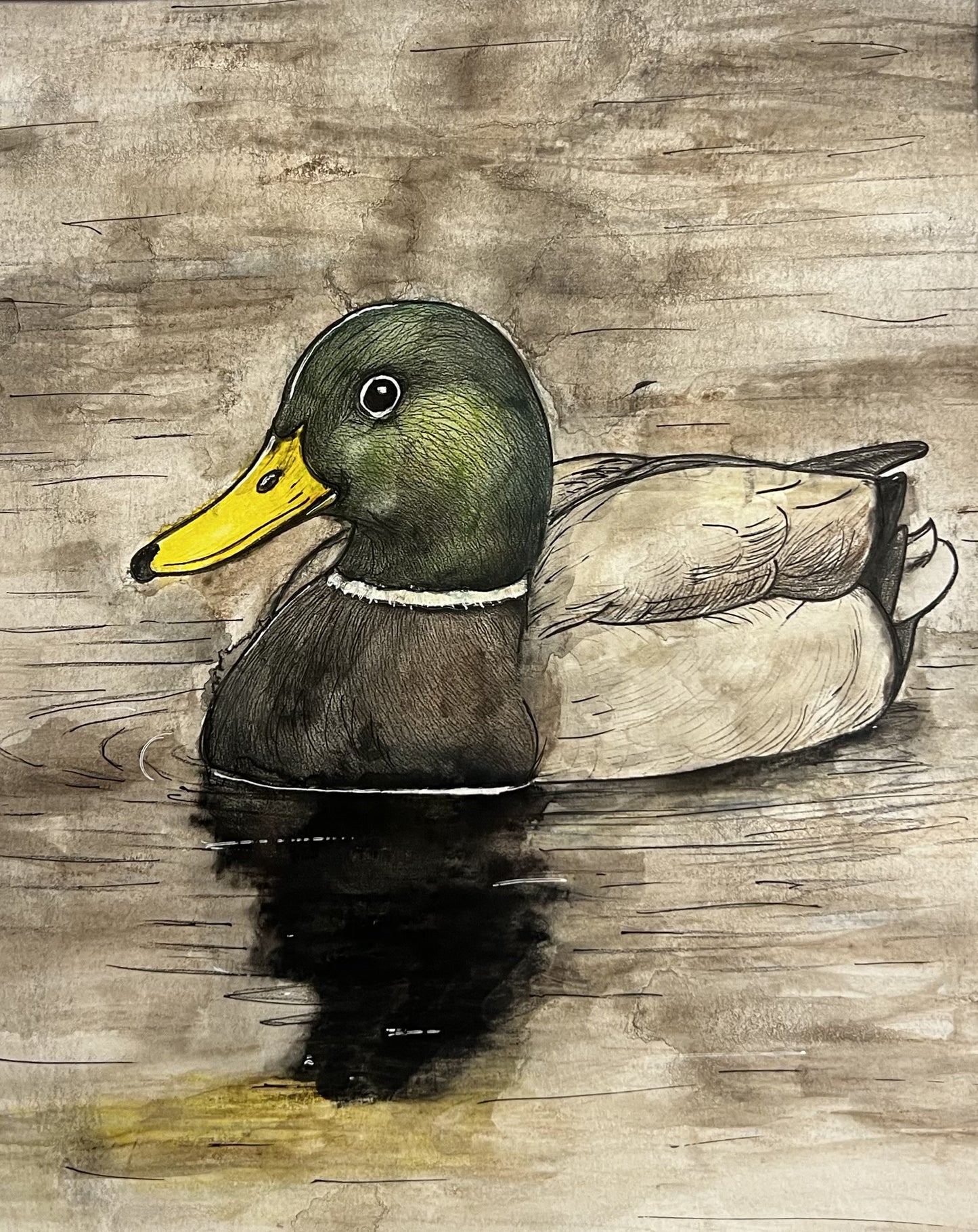 Michigan Mallard