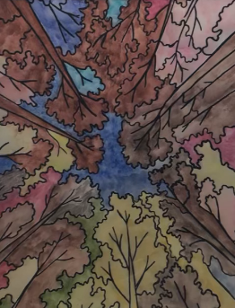 Leaves