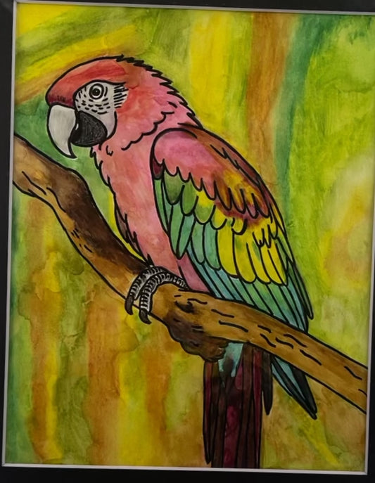 Polly