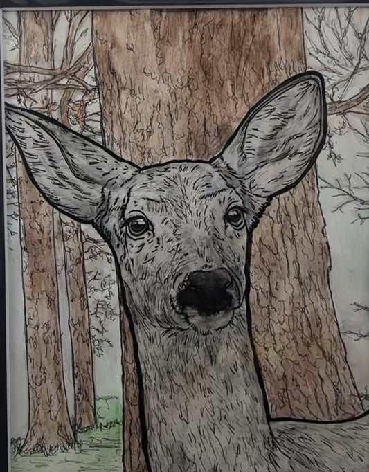 Deary...Deary... Deer