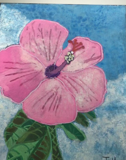Keefer Hibiscus