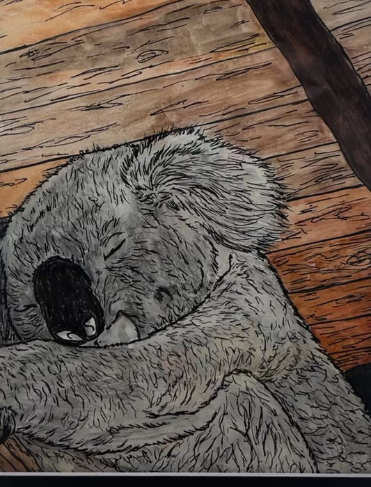 Koala Love